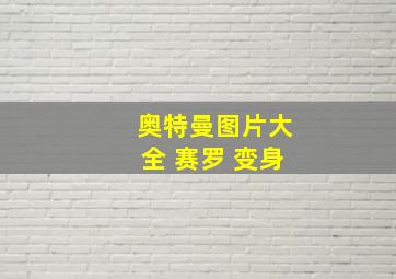 奥特曼图片大全 赛罗 变身